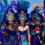 Trinidad Carnival 14