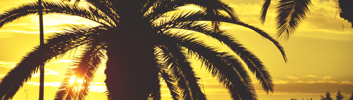 Fire 4 Hire Soundsystem