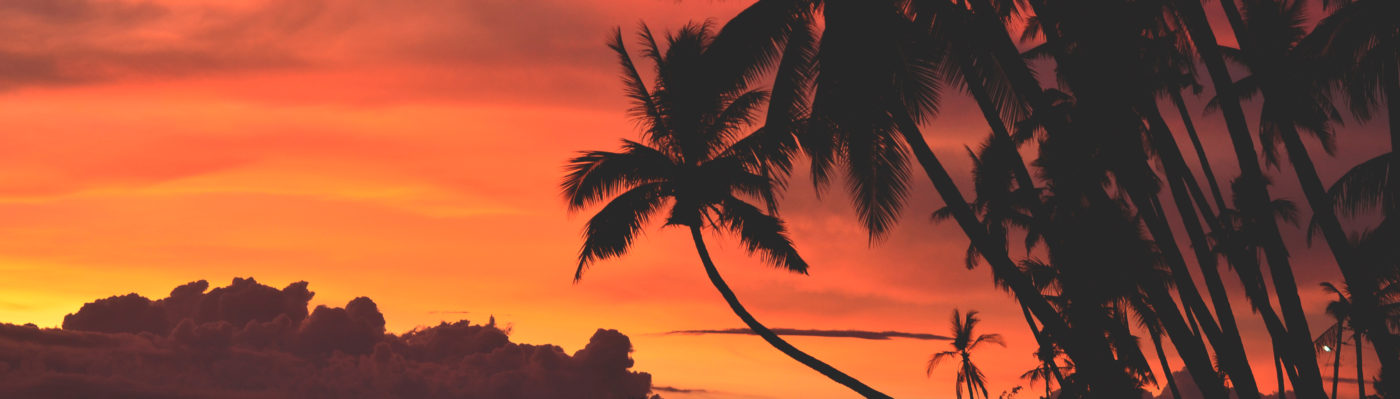 Fire 4 Hire Soundsystem